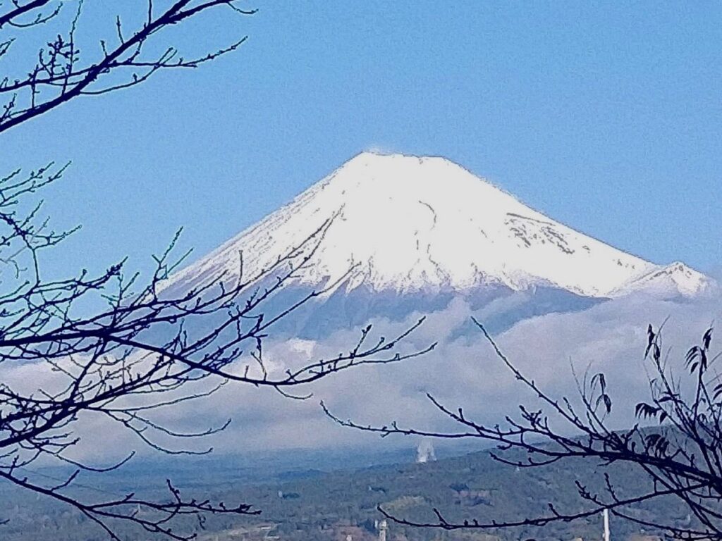 撮影スポット：静岡県富士市西柏原新田