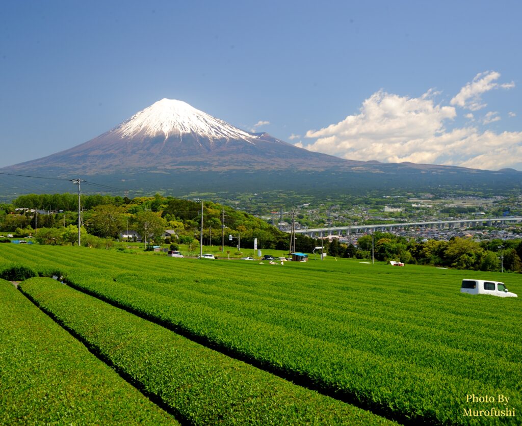 富士山の写真
撮影スポット：富士市 岩本山高原（たかはら）