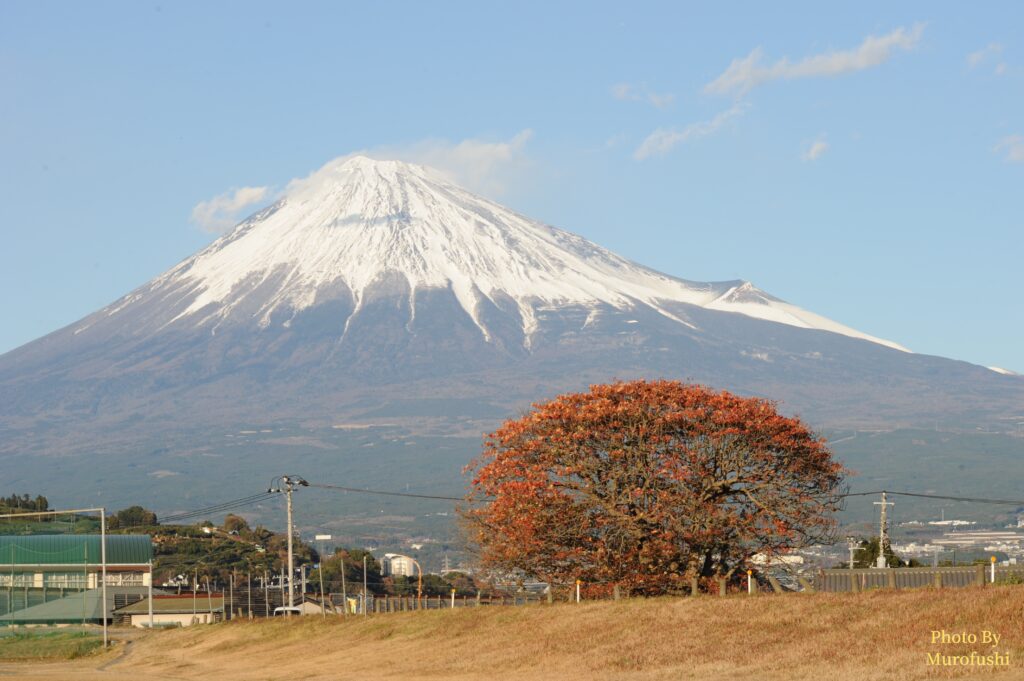 富士山の写真
撮影スポット：富士市かりがね堤