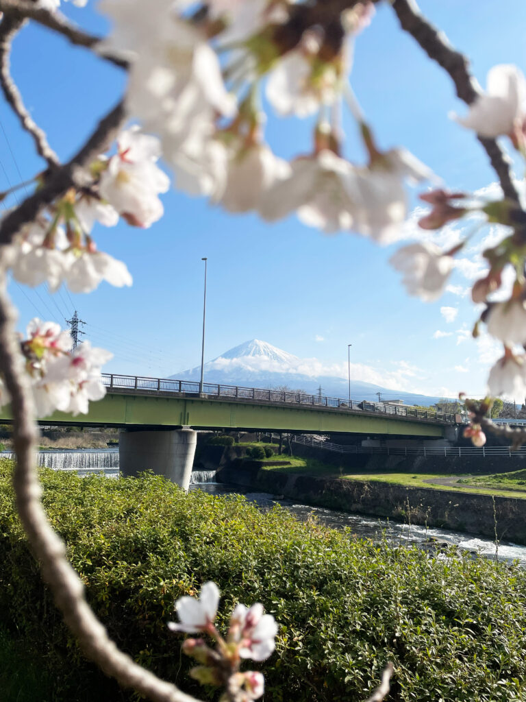 富士山の写真